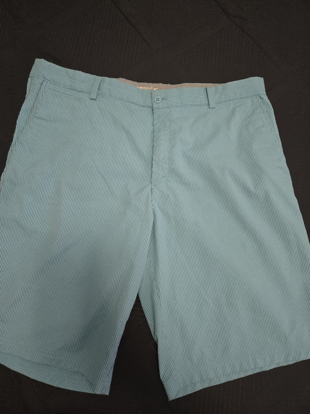 Nike Men's Teal Pinstripe Flat Front Shorts